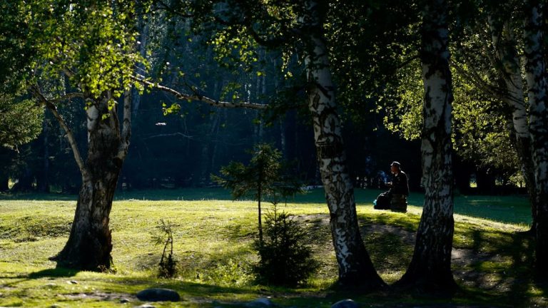 Featured image for Pere aktiivsete tegevuste tähtsus